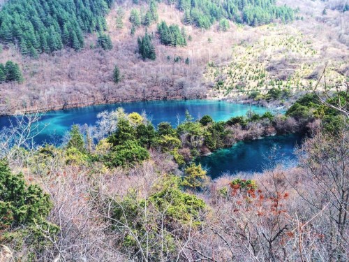 九寨溝旅游_九寨溝三日游_九寨溝旅游攻略_九寨溝汽車團_九寨溝